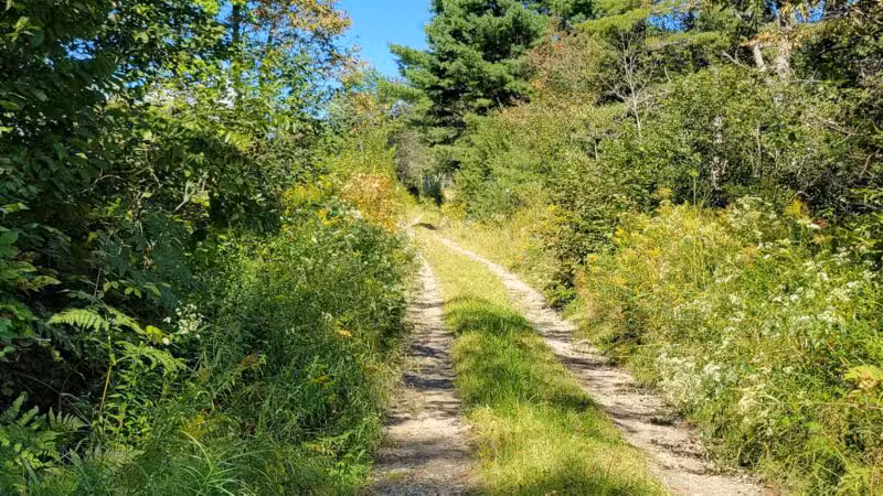 Mt.Tuck Trail & Preserve - Stockton Springs, ME