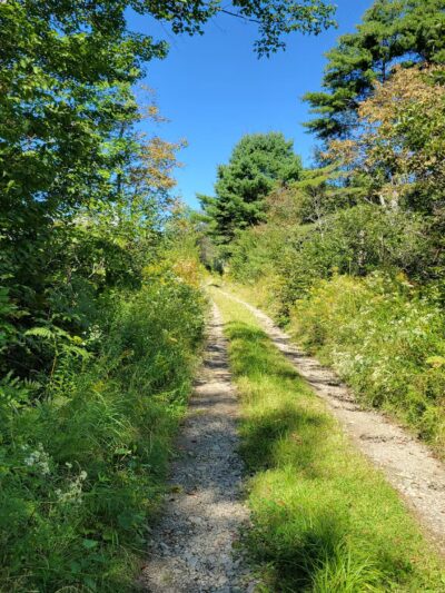 Mt.Tuck Trail & Preserve - Stockton Springs, ME