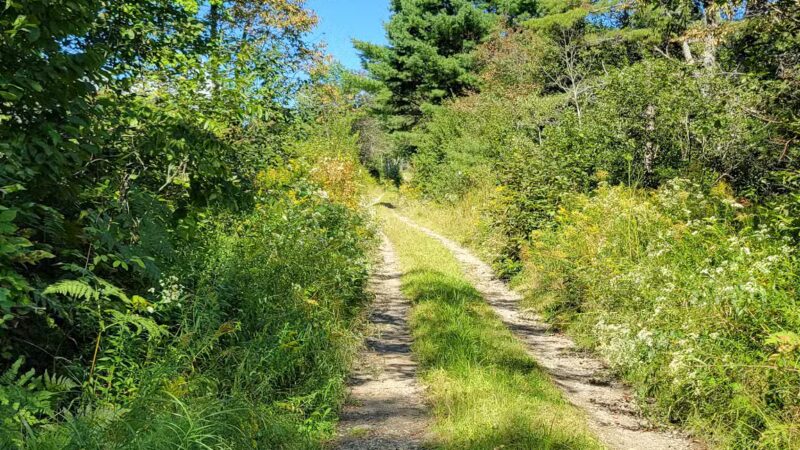 Mt.Tuck Trail & Preserve - Stockton Springs, ME