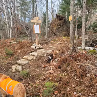 Mt.Tuck Trail & Preserve - Stockton Springs, ME