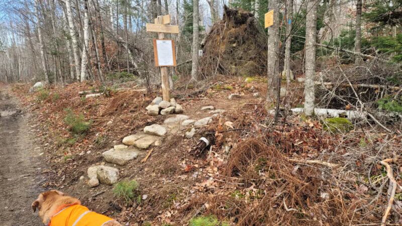 Mt.Tuck Trail & Preserve - Stockton Springs, ME