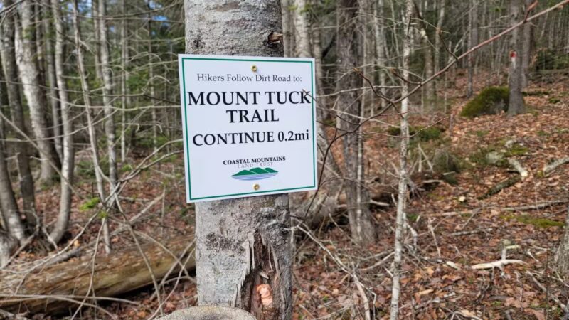 Mt.Tuck Trail & Preserve - Stockton Springs, ME