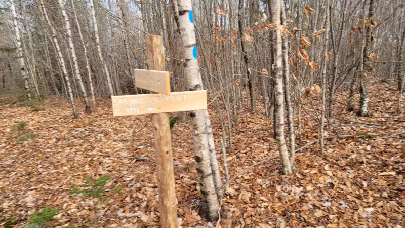 Mt.Tuck Trail & Preserve - Stockton Springs, ME