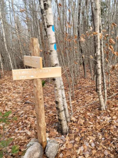 Mt.Tuck Trail & Preserve - Stockton Springs, ME