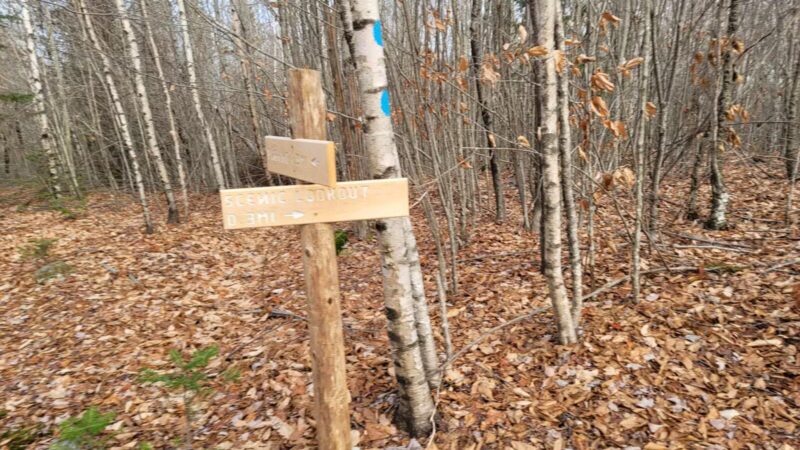 Mt.Tuck Trail & Preserve - Stockton Springs, ME