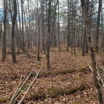 Mt.Tuck Trail & Preserve - Stockton Springs, ME