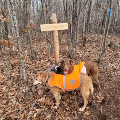 Mt.Tuck Trail & Preserve - Stockton Springs, ME