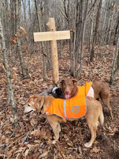 Mt.Tuck Trail & Preserve - Stockton Springs, ME