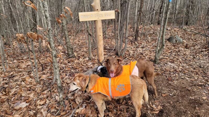Mt.Tuck Trail & Preserve - Stockton Springs, ME
