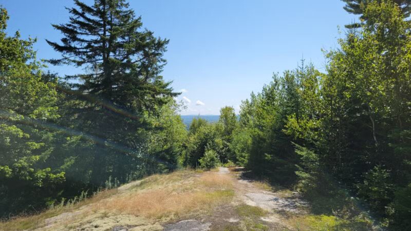 Mt.Tuck Trail & Preserve - Stockton Springs, ME