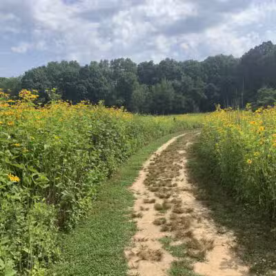 Avalon Hiking Trails - Stony Brook, NY
