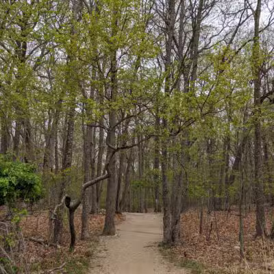 Avalon Hiking Trails - Stony Brook, NY