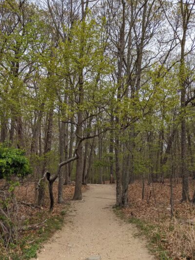 Avalon Hiking Trails - Stony Brook, NY