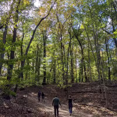Avalon Hiking Trails - Stony Brook, NY