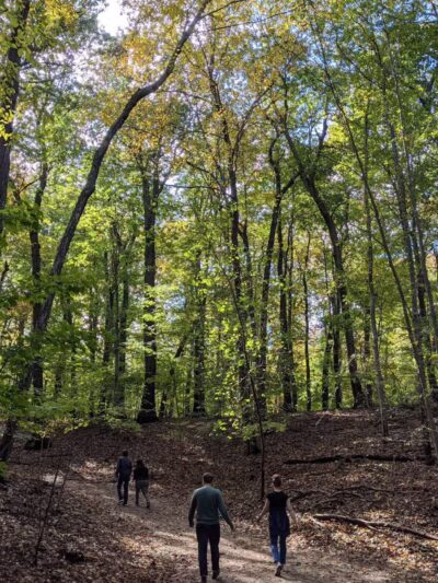 Avalon Hiking Trails - Stony Brook, NY