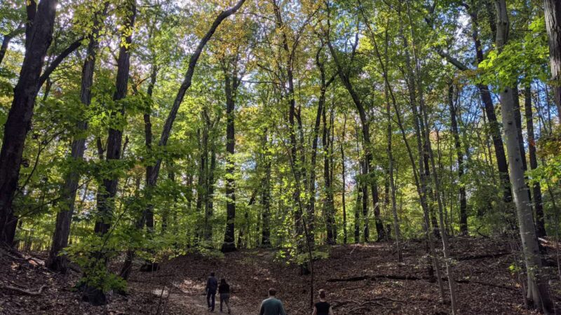 Avalon Hiking Trails - Stony Brook, NY