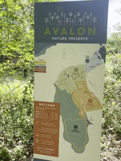 Avalon Hiking Trails - Stony Brook, NY