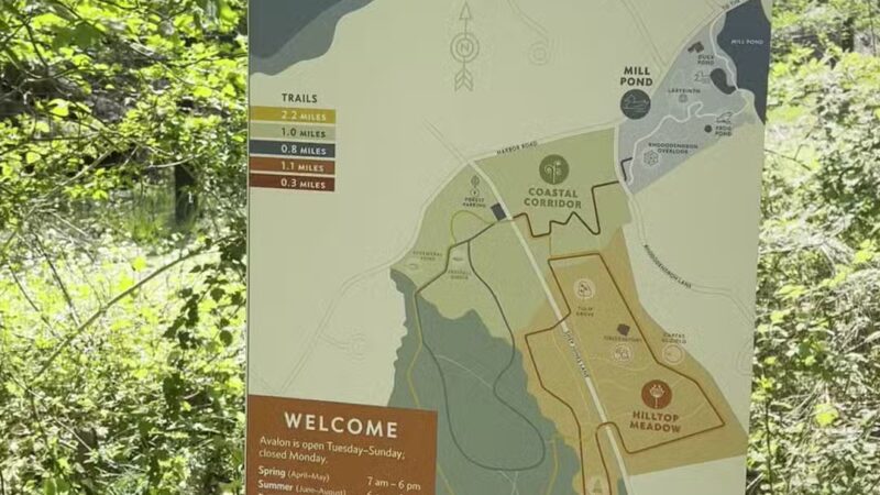 Avalon Hiking Trails - Stony Brook, NY