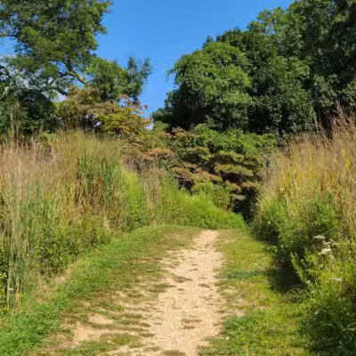 Avalon Hiking Trails - Stony Brook, NY