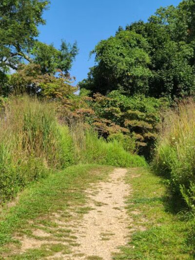 Avalon Hiking Trails - Stony Brook, NY