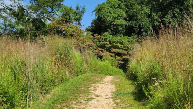 Avalon Hiking Trails - Stony Brook, NY