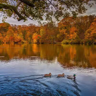 Avalon Nature Preserve - Stony Brook, NY