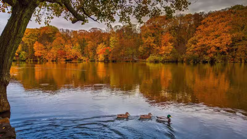 Avalon Nature Preserve - Stony Brook, NY