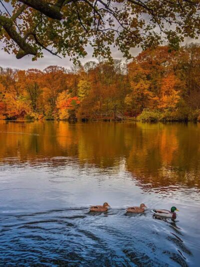 Avalon Nature Preserve - Stony Brook, NY