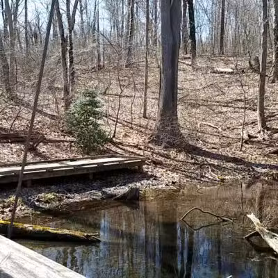 Avalon Nature Preserve - Stony Brook, NY