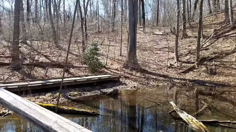 Avalon Nature Preserve - Stony Brook, NY