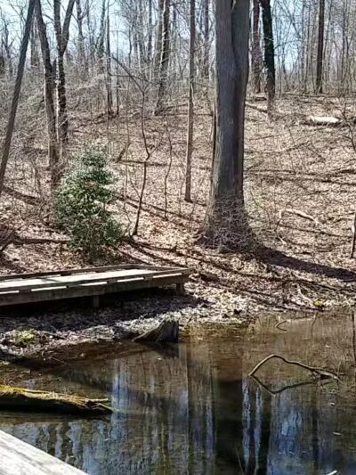 Avalon Nature Preserve - Stony Brook, NY