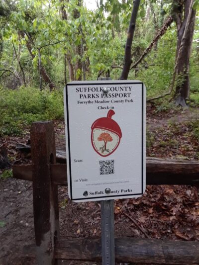 Forsythe Meadow County Park - Stony Brook, NY
