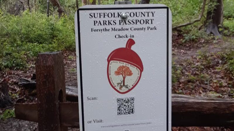 Forsythe Meadow County Park - Stony Brook, NY