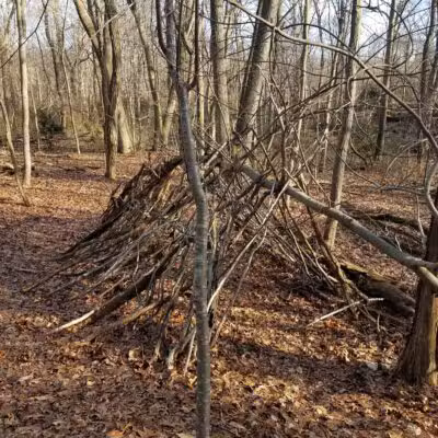 Forsythe Meadow County Park - Stony Brook, NY