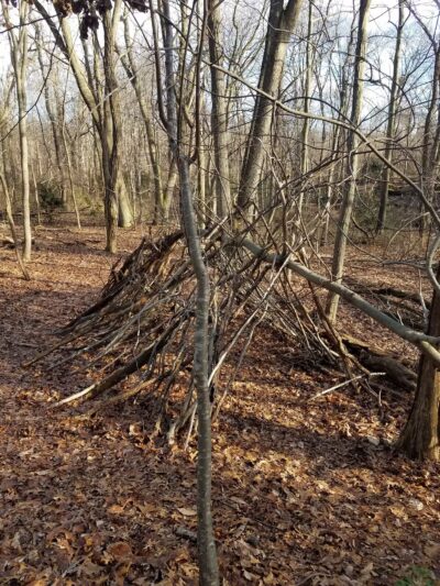 Forsythe Meadow County Park - Stony Brook, NY