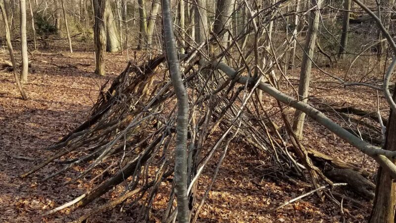 Forsythe Meadow County Park - Stony Brook, NY