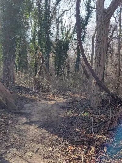 Forsythe Meadow County Park - Stony Brook, NY