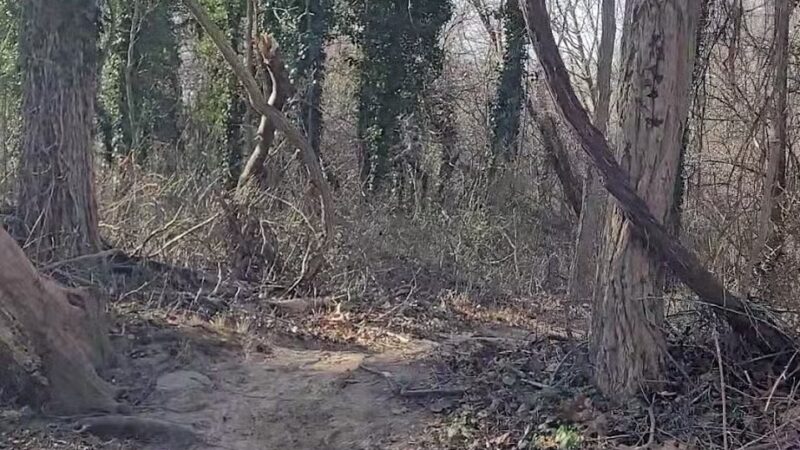 Forsythe Meadow County Park - Stony Brook, NY