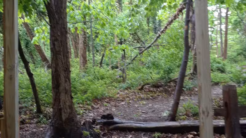Forsythe Meadow County Park - Stony Brook, NY
