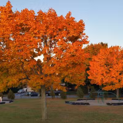 Oxhead Road Park - Stony Brook, NY