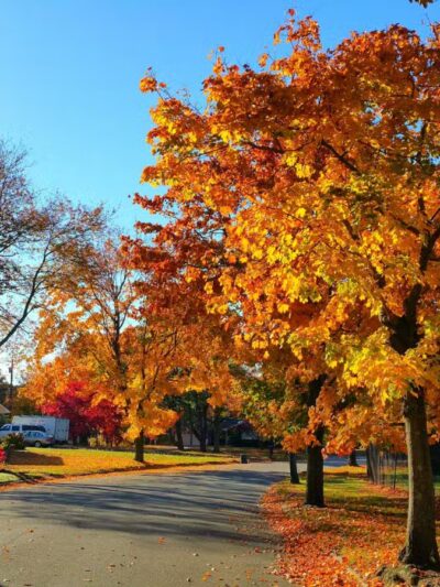 Oxhead Road Park - Stony Brook, NY