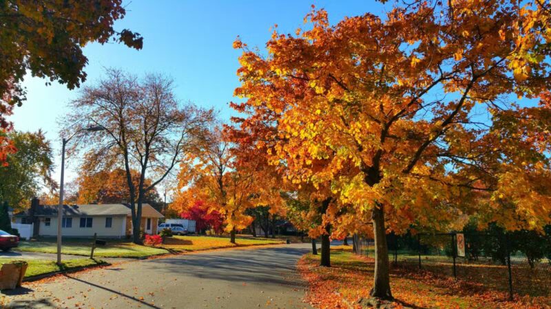 Oxhead Road Park - Stony Brook, NY