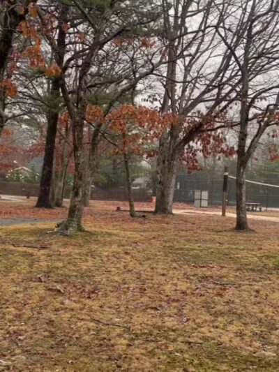 Strathmore Park - Stony Brook, NY