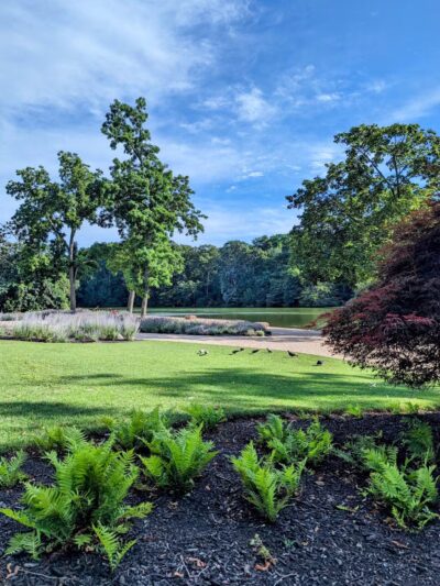 T. Bayles Minuse Mill Pond Park - Stony Brook, NY