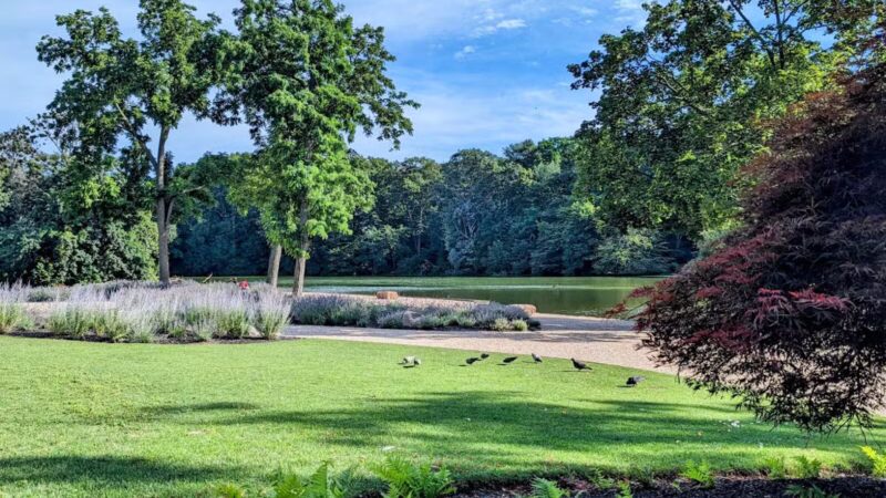 T. Bayles Minuse Mill Pond Park - Stony Brook, NY