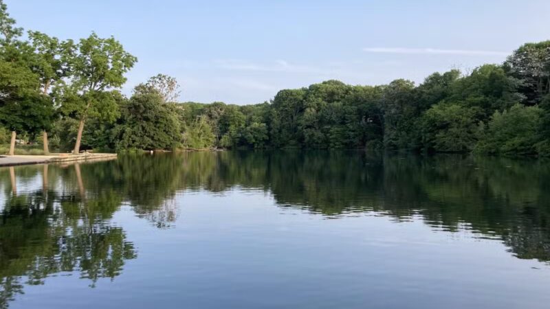 T. Bayles Minuse Mill Pond Park - Stony Brook, NY