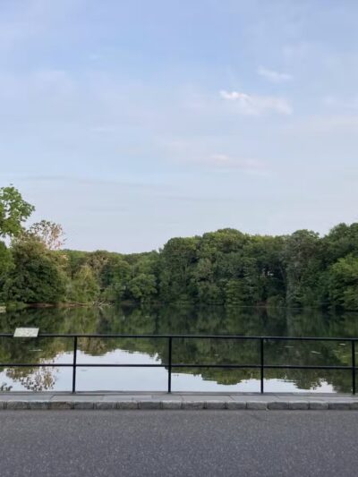 T. Bayles Minuse Mill Pond Park - Stony Brook, NY