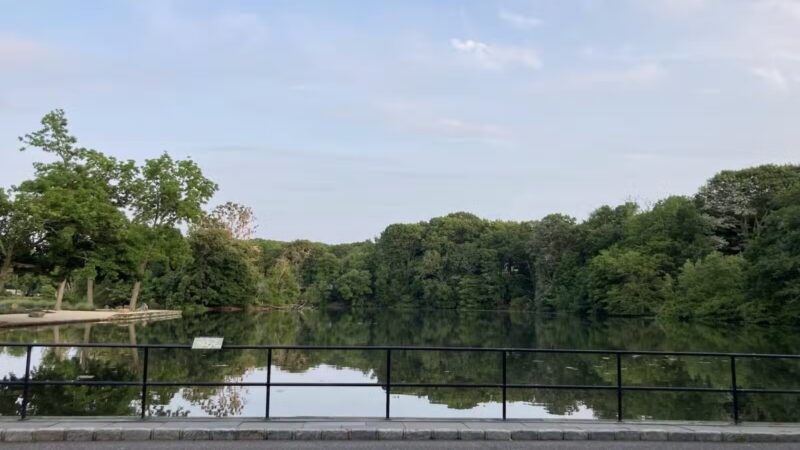 T. Bayles Minuse Mill Pond Park - Stony Brook, NY