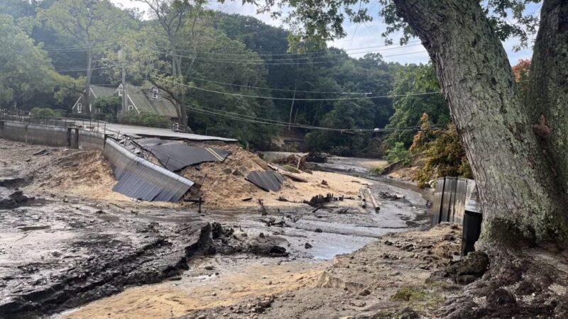 T. Bayles Minuse Mill Pond Park - Stony Brook, NY
