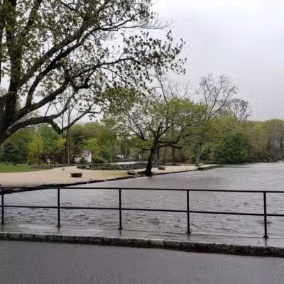 T. Bayles Minuse Mill Pond Park - Stony Brook, NY